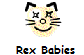 Rex Babies